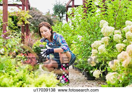 Stock Photo - Portrait of mature beautiful gardener examining plants. Fotosearch