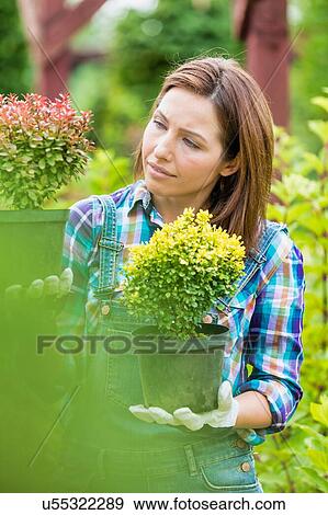Stock Photo - Portrait of mature beautiful gardener examining plants. Fotosearch