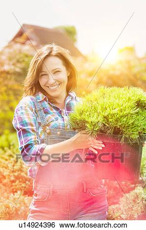 Stock Photograph - Portrait of mature beautiful gardener carrying plant on pot. Fotosearch