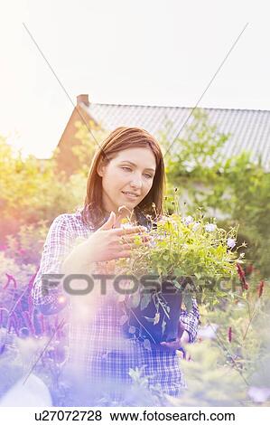 Stock Photo - Portrait of mature female buyer checking flowers on pot in shop. Fotosearch
