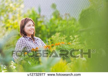 Stock Photo - Portrait of mature female gardener carrying flowers in crate at shop. Fotosearch