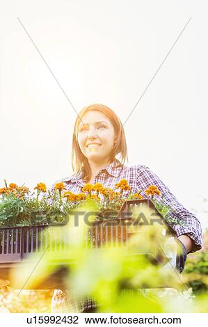 Stock Image - Portrait of mature gardener carrying flowers on crate with lens flare in background. Fotosearch