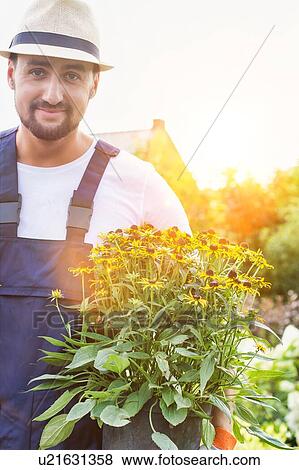 Stock Photo - Portrait of mature gardener holding daisy flower on pot in shop. Fotosearch