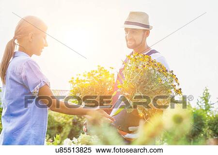 Stock Photography - Portrait of mature gardener showing daisy flowers on pot to woman buyer in shop. Fotosearch