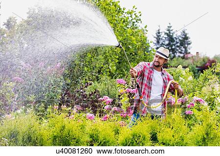 Portrait of mature gardener watering plants using hose in shop View Large Photo Image Stock Image - Portrait of mature gardener watering plants using hose in shop. Fotosearch