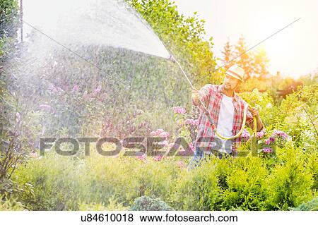 Stock Photo - Portrait of mature gardener watering flowers and plants using hose in shop. Fotosearch