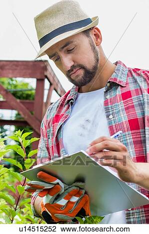 Portrait of mature male gardener examining plants growing while writing report on clipboard View Large Photo Image Stock Image - Portrait of mature male gardener examining plants growing while writing report on clipboard. Fotosearch