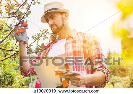 Portrait of mature male gardener examining plants growing while writing report on clipboard View Large Photo Image Stock Photo - Portrait of mature male gardener examining plants growing while writing report on clipboard. Fotosearch