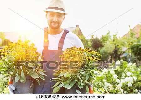 Stock Photography - Portrait of mature male gardener carrying flowers on pot in shop. Fotosearch