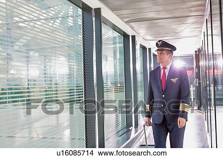 Portrait of mature pilot walking with his suitcase in airport View Large Photo Image Picture - Portrait of mature pilot walking with his suitcase in airport. Fotosearch