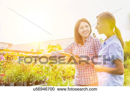 Portrait of mature shop owner showing flowers on pot to woman buyer View Large Photo Image Stock Image - Portrait of mature shop owner showing flowers on pot to woman buyer . Fotosearch