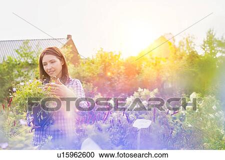 Portrait of mature woman examining plants on pot in shop View Large Photo Image Stock Image - Portrait of mature woman examining plants on pot in shop. Fotosearch