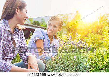 Portrait of shop owner showing flowers on pot to woman buyer with lens flare in background View Large Photo Image Stock Photograph - Portrait of shop owner showing flowers on pot to woman buyer with lens flare in background. Fotosearch