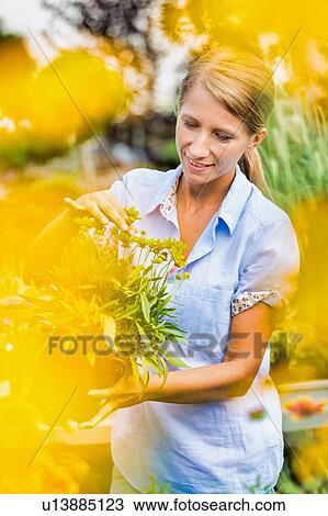 Stock Image - Portrait of woman buyer looking at flower on pot in shop. Fotosearch
