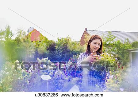 Stock Photograph - Portrait of woman buyer looking at flower on pot in shop. Fotosearch