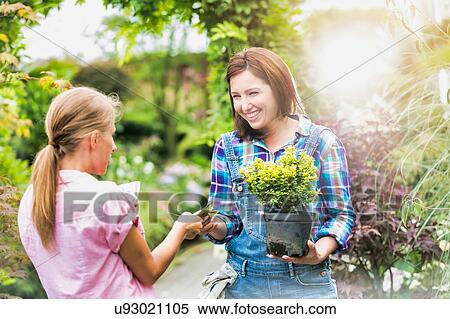 Portrait of woman buying plant on a pot from gardener View Large Photo Image Stock Photography - Portrait of woman buying plant on a pot from gardener . Fotosearch