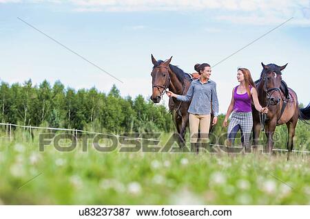 Portrait of women walking while talking with their horses in ranch View Large Photo Image Stock Photo - Portrait of women walking while talking with their horses in ranch. Fotosearch