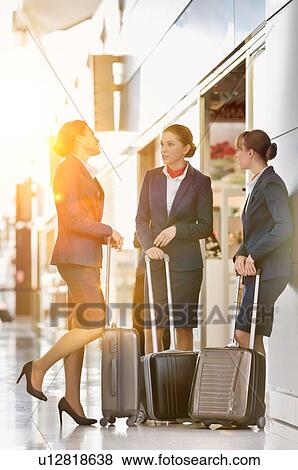 Stock Photo - Portrait of young attractive flight attendants talking while standing in airport. Fotosearch