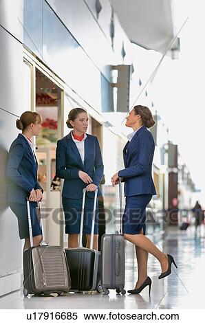 Stock Photography - Portrait of young attractive flight attendants talking while standing in airport. Fotosearch