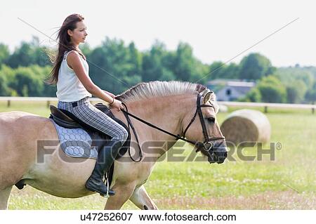 Portrait of young attractive woman riding horse in ranch View Large Photo Image Stock Photo - Portrait of young attractive woman riding horse in ranch. Fotosearch