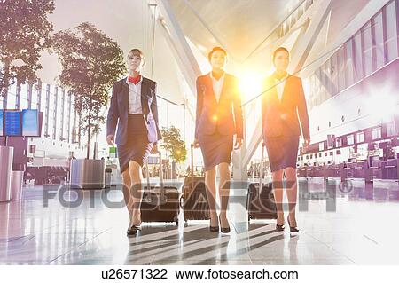 Stock Image - Portrait of young beautiful confident flight attendants walking in airport. Fotosearch