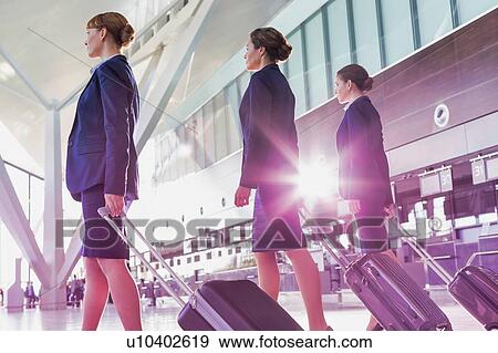 Portrait of young beautiful confident flight attendants walking in airport View Large Photo Image Stock Photo - Portrait of young beautiful confident flight attendants walking in airport. Fotosearch