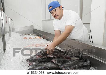 Stock Image - Portrait of young fishmonger arranging fish in ice at market. Fotosearch