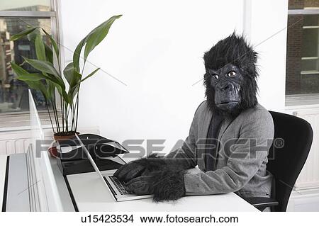 Picture - Portrait of young man in gorilla mask using laptop at office. Fotosearch