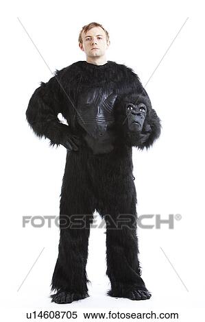 Portrait of young man in gorilla costume with hand on hip against white background View Large Photo Image Stock Photography - Portrait of young man in gorilla costume with hand on hip against white background. Fotosearch