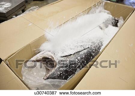 Stock Photo - Raw fish covered with sea salt in cardboard box. Fotosearch