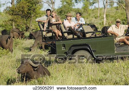 Stock Image - Safari. Fotosearch