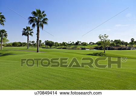 Scenic view of green landscape View Large Photo Image Picture - Scenic view of green landscape. Fotosearch
