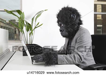Stock Photo - Side view of young man in gorilla mask using laptop at office. Fotosearch