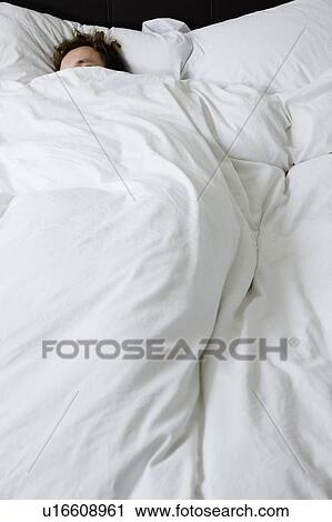 Single living View Large Photo Image Stock Image - Single living. Fotosearch