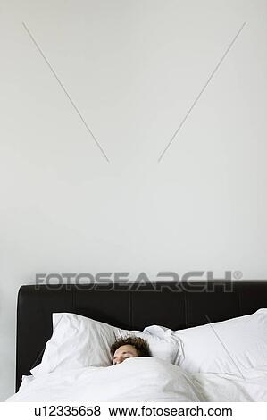 Stock Photo - Single living. Fotosearch