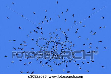 Skydiving View Large Photo Image Stock Photograph - Skydiving . Fotosearch