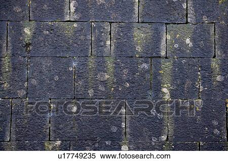 Stock Photography - Slate roof with moss background. Fotosearch