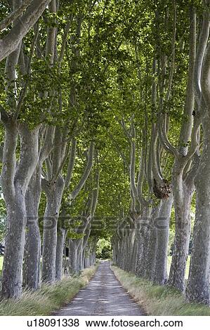Southern France View Large Photo Image Stock Photo - Southern France. Fotosearch
