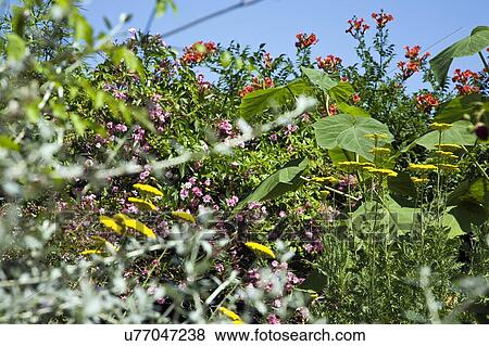 Stock Photo - Southern France. Fotosearch