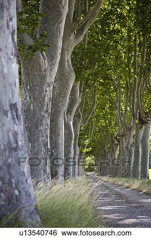 Stock Photograph - Southern France. Fotosearch