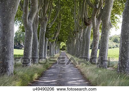 Southern France View Large Photo Image Stock Photograph - Southern France. Fotosearch