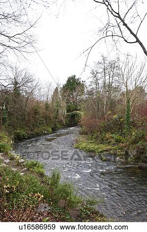 Stock Photo - Stream with trees in Kenmare, Ireland. Fotosearch