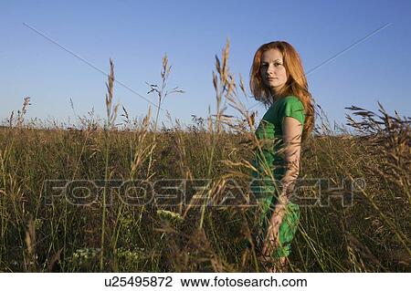 Stock Image - The field. Fotosearch