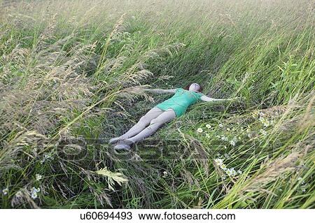 Stock Image - The field. Fotosearch