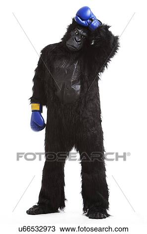 Stock Image - Tired young man in gorilla costume and boxing gloves against white background. Fotosearch