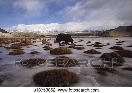 Travel View Large Photo Image Stock Image - Travel. Fotosearch
