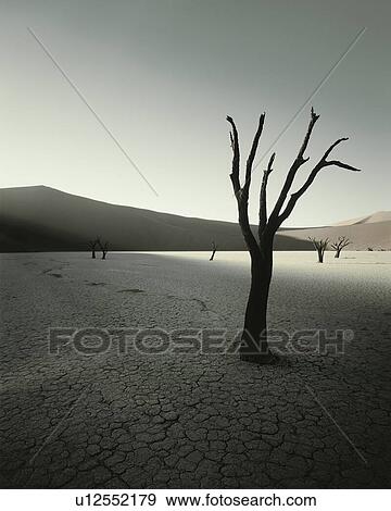 Travel View Large Photo Image Stock Photo - Travel. Fotosearch