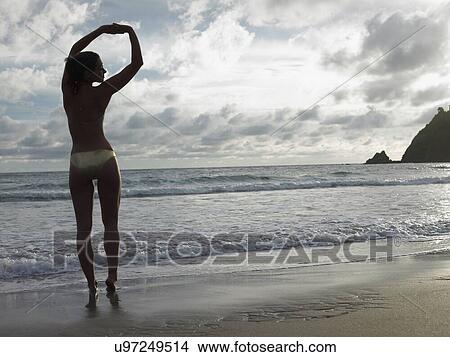Picture - Tropical Beauty 2. Fotosearch