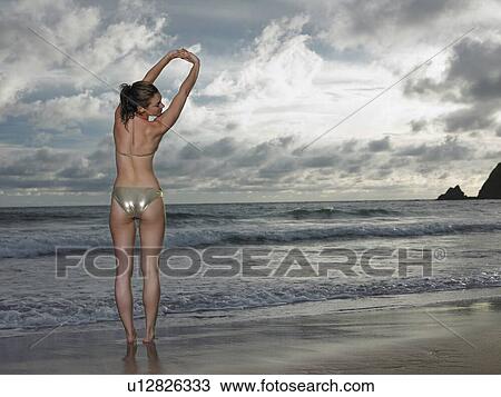 Tropical Beauty 2 View Large Photo Image Stock Image - Tropical Beauty 2. Fotosearch