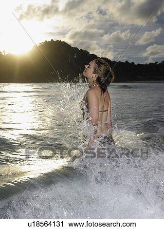 Tropical Beauty 2 View Large Photo Image Stock Image - Tropical Beauty 2. Fotosearch